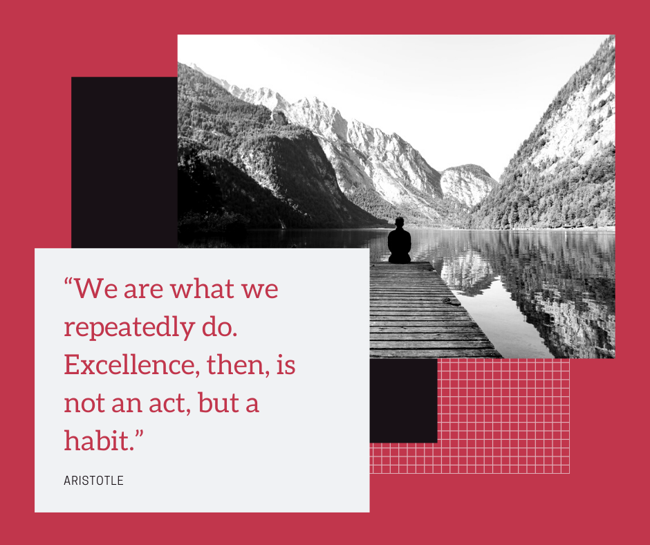 We are what we repeatedly do. Excellence, then, is not an act, but a habit. - Aristotle