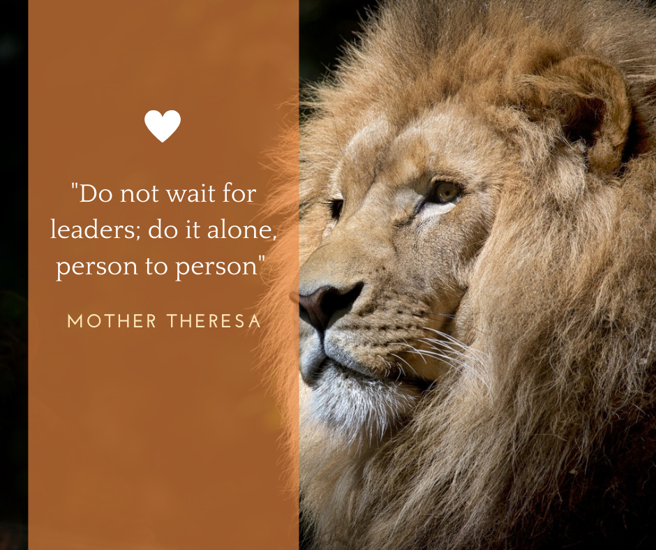 Do not wait for leaders; do it alone, person to person. Mother Theresa