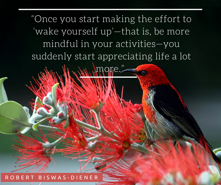 Once you start making the effort to ‘wake yourself up’—that is, be more mindful in your activities—you suddenly start appreciating life a lot more. –Robert Biswas-Diener