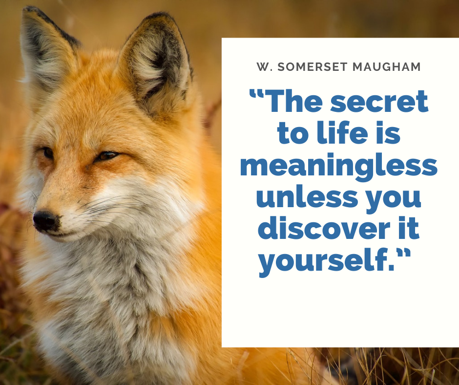 The secret to life is meaningless unless you discover it yourself. - W. Somerset Maugham