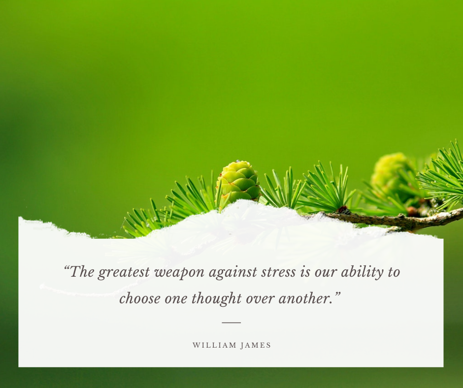 The greatest weapon against stress is our ability to choose one thought over another. - William James